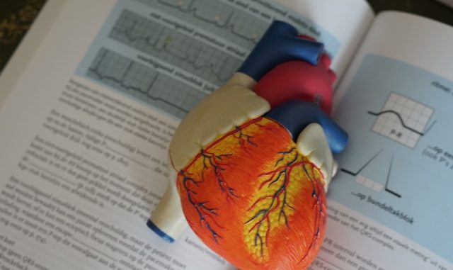 maladies cardio-vasculaires