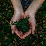 Santé et environnement