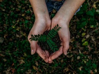 Santé et environnement
