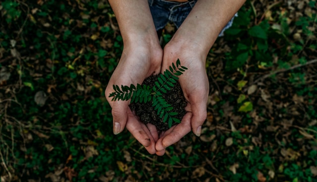 Santé et environnement