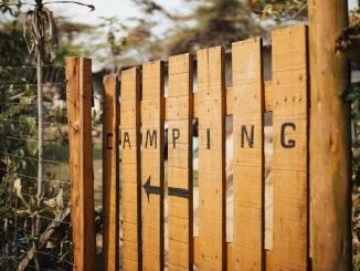Barrière en bois avec inscription CAMPING et flèche, entourée de végétation
